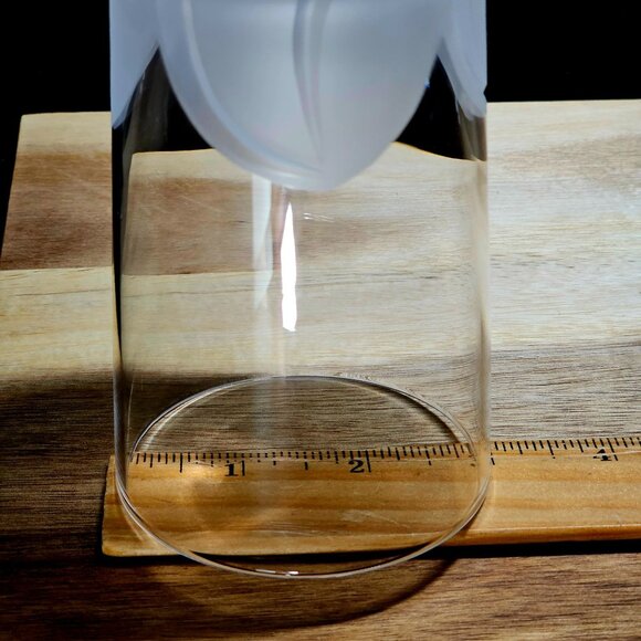 Cristal D'Arques Florence Highball Glass 5.25" crystal frosted 3D petals romanti - Picture 6 of 7